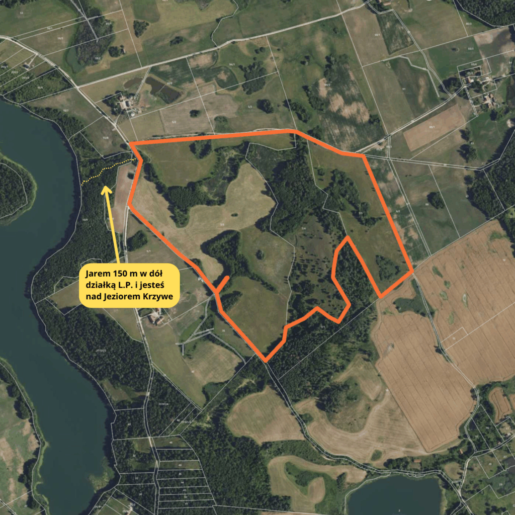 Obszar działki na sprzedaż z zaznaczoną dróżką prowadzącą do jeziora przez działkę leśną L.P.