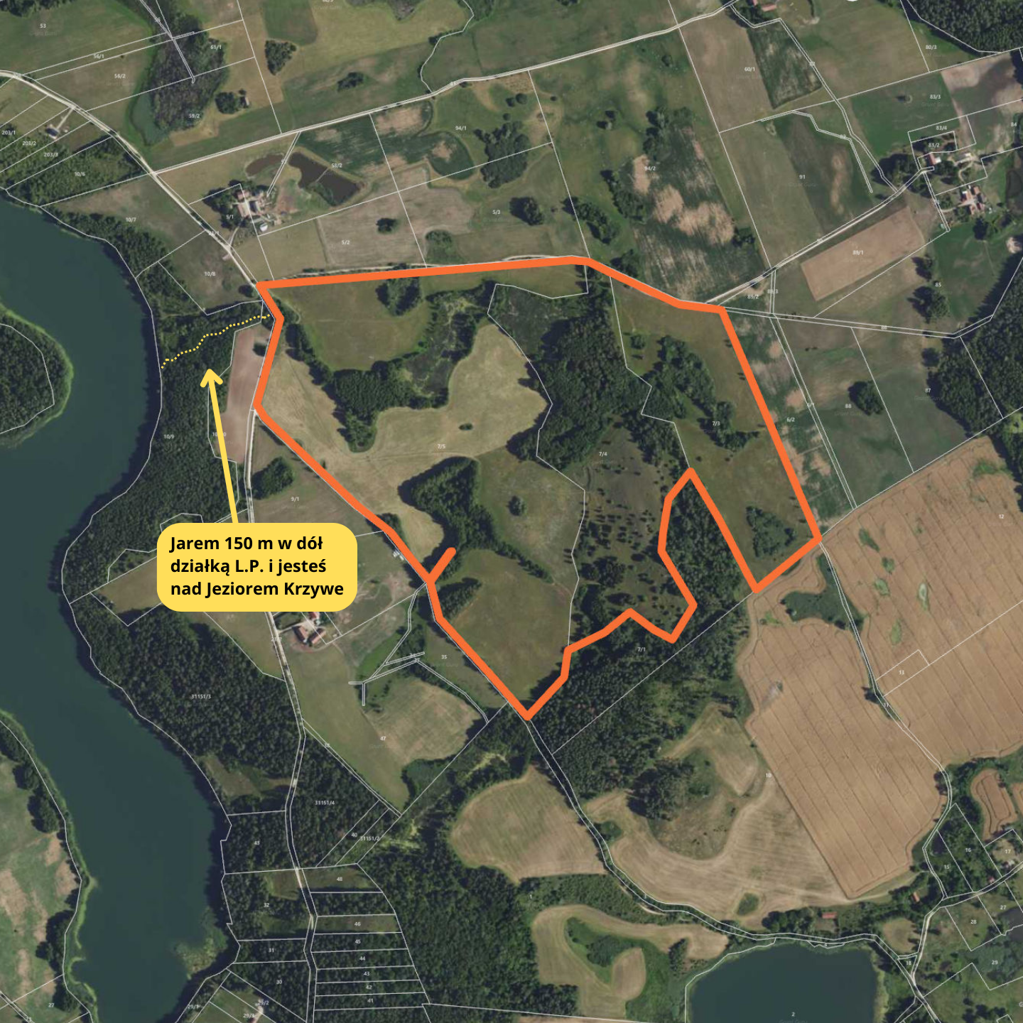 Obszar działki na sprzedaż z zaznaczoną dróżką prowadzącą do jeziora przez działkę leśną L.P.